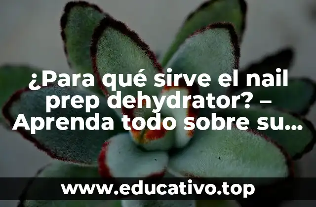 ¿Para qué sirve el nail prep dehydrator? – Aprenda todo sobre su función y beneficios