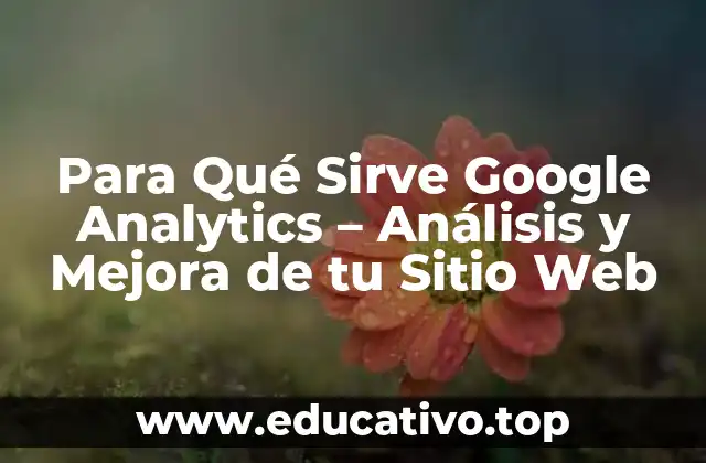 Para Qué Sirve Google Analytics – Análisis y Mejora de tu Sitio Web