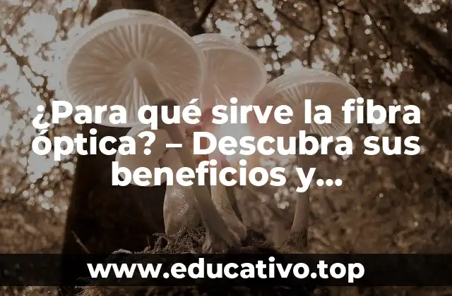 ¿Para qué sirve la fibra óptica? – Descubra sus beneficios y aplicaciones