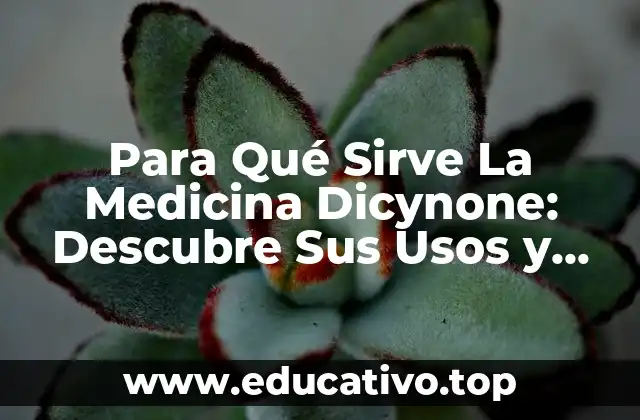 Para Qué Sirve La Medicina Dicynone: Descubre Sus Usos y Beneficios