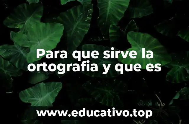 Para que sirve la ortografia y que es