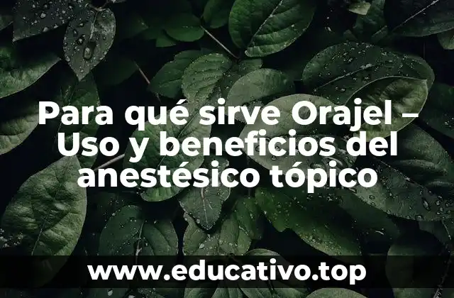 Para qué sirve Orajel – Uso y beneficios del anestésico tópico