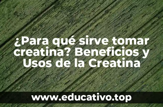 ¿Para qué sirve tomar creatina? Beneficios y Usos de la Creatina