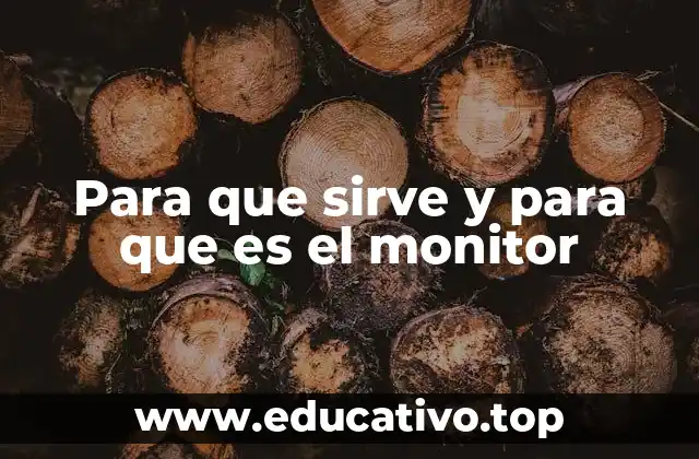 Para que sirve y para que es el monitor