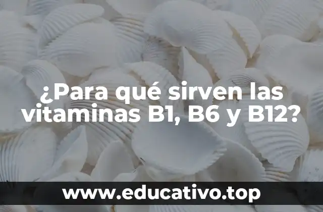 ¿Para qué sirven las vitaminas B1, B6 y B12?