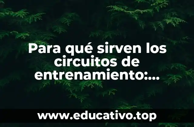Para qué sirven los circuitos de entrenamiento: Entrenamiento integral y eficiente