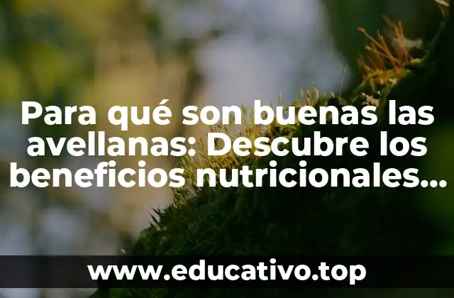 Para qué son buenas las avellanas: Descubre los beneficios nutricionales y saludables