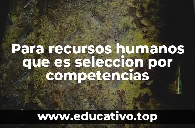 Para recursos humanos que es seleccion por competencias