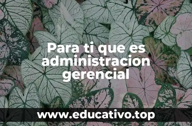 Para ti que es administracion gerencial