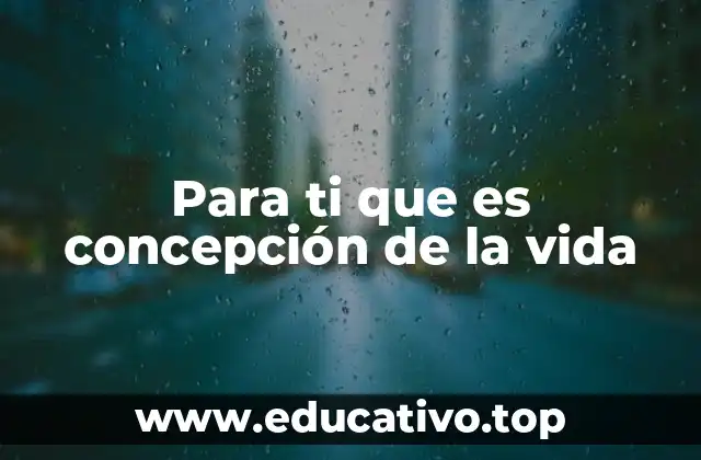 Para ti que es concepción de la vida