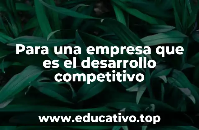 Para una empresa que es el desarrollo competitivo