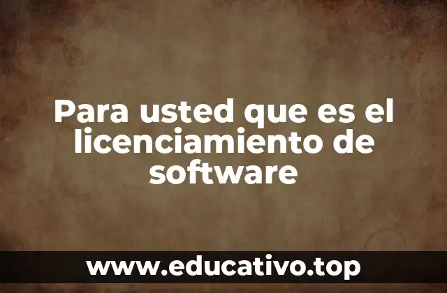 Para usted que es el licenciamiento de software