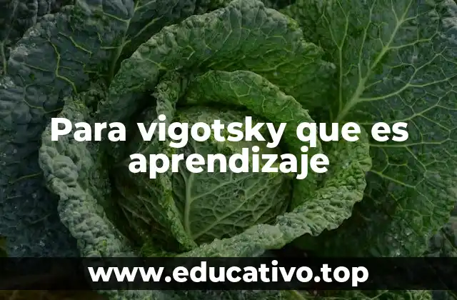 Para vigotsky que es aprendizaje