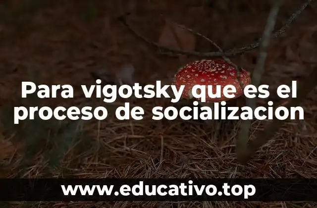 Para vigotsky que es el proceso de socializacion