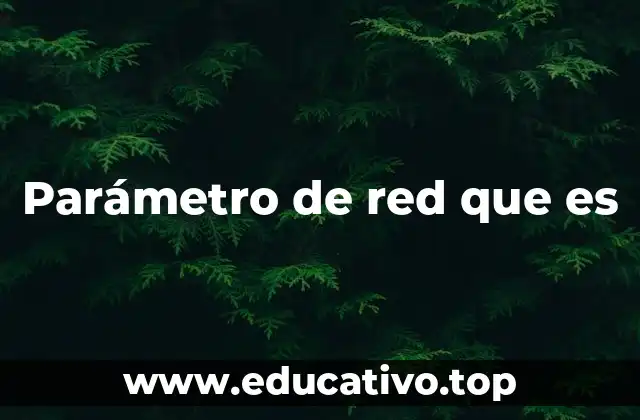 Parámetro de red que es