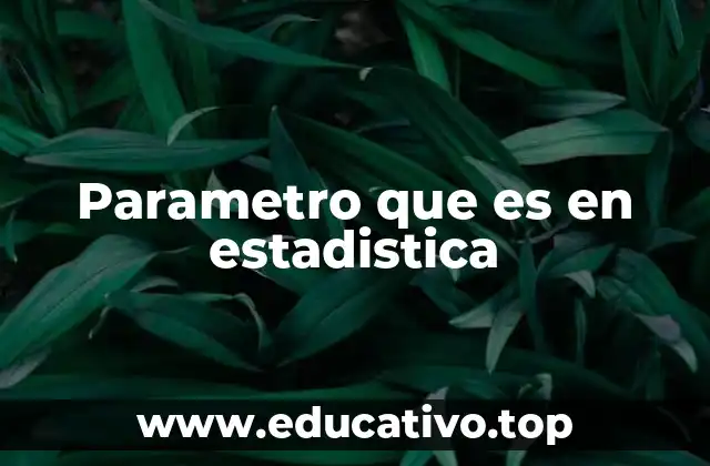Parametro que es en estadistica