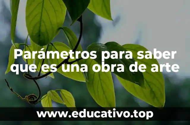 Parámetros para saber que es una obra de arte
