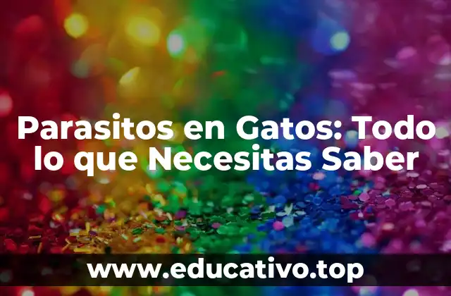 Parasitos en Gatos: Todo lo que Necesitas Saber