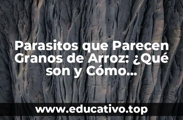 Parasitos que Parecen Granos de Arroz: ¿Qué son y Cómo Identificarlos?