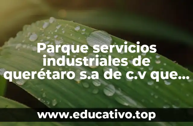 Parque servicios industriales de querétaro s.a de c.v que es