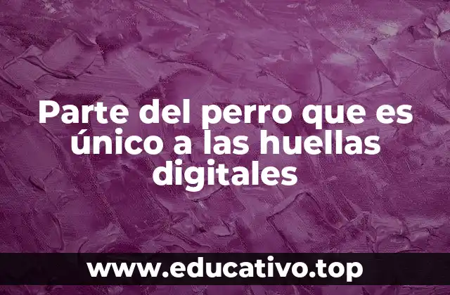 Parte del perro que es único a las huellas digitales