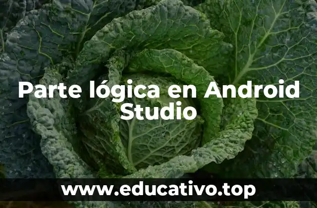 Parte lógica en Android Studio