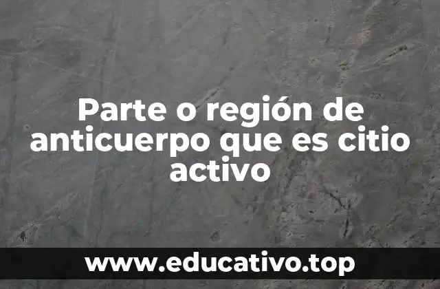 Parte o región de anticuerpo que es citio activo