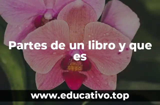 Partes de un libro y que es