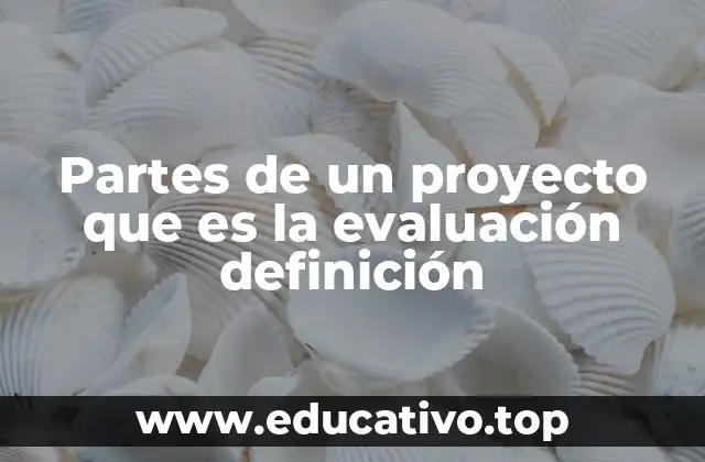 Partes de un proyecto que es la evaluación definición
