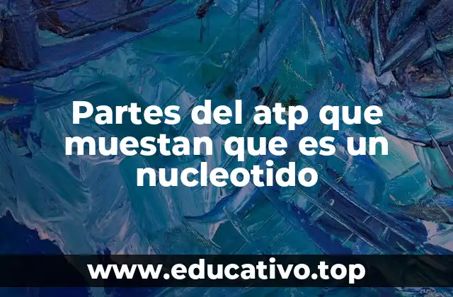 Partes del atp que muestan que es un nucleotido