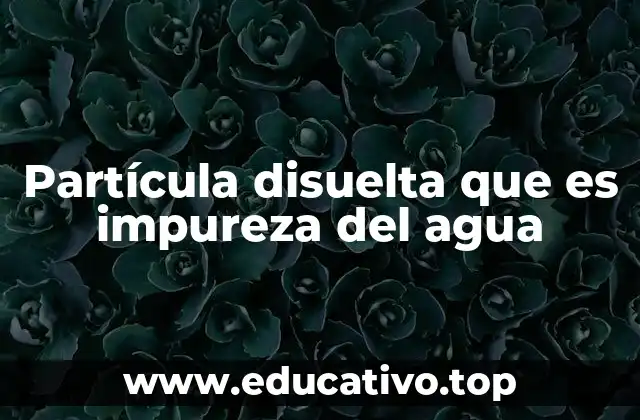 Partícula disuelta que es impureza del agua
