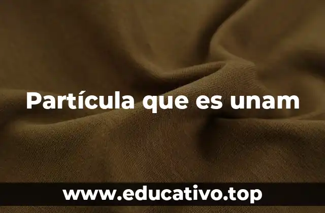 Partícula que es unam