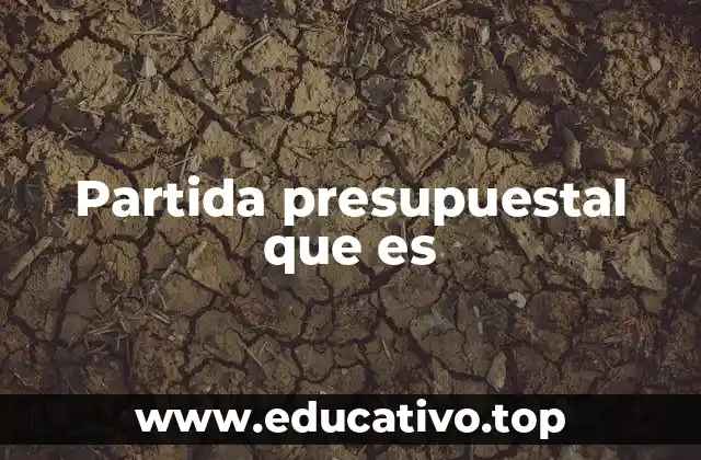 Partida presupuestal que es