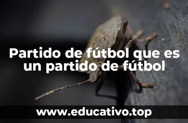 Partido de fútbol que es un partido de fútbol