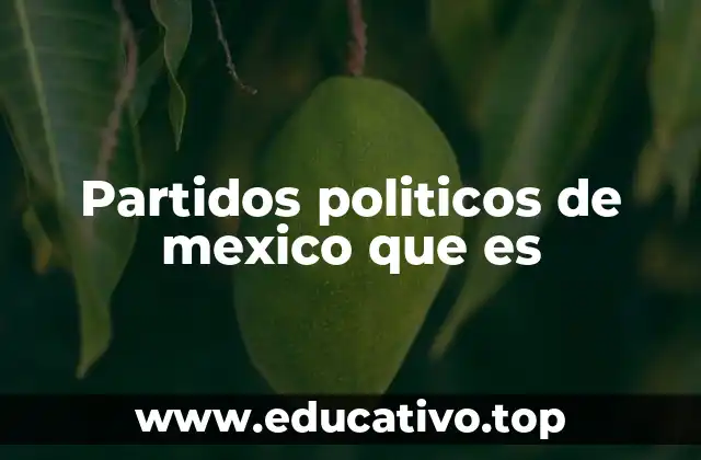 Partidos politicos de mexico que es