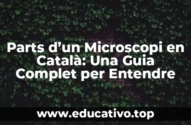 Parts d’un Microscopi en Català: Una Guia Complet per Entendre