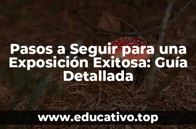 Pasos a Seguir para una Exposición Exitosa: Guía Detallada