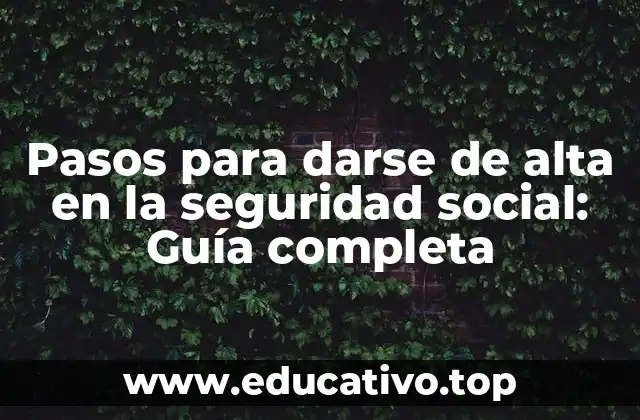 Pasos para darse de alta en la seguridad social: Guía completa