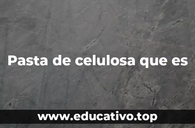 La importancia de la pasta de celulosa en la industria