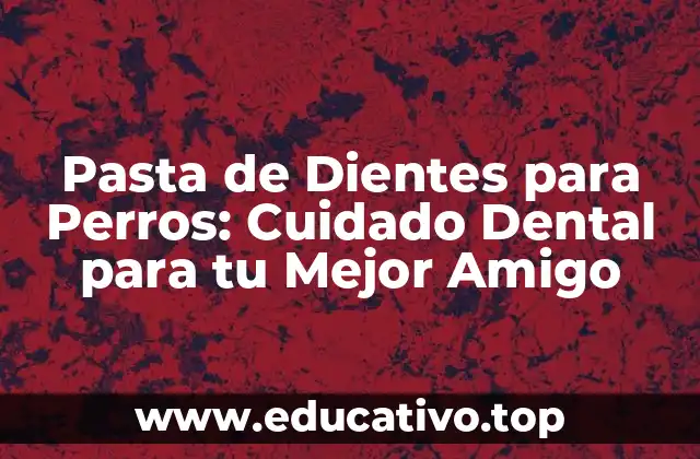 Pasta de Dientes para Perros: Cuidado Dental para tu Mejor Amigo