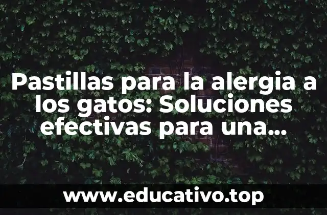 Pastillas para la alergia a los gatos: Soluciones efectivas para una convivencia pacífica