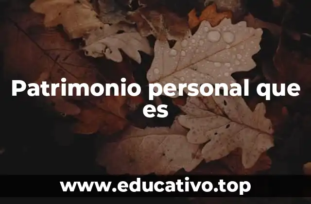 Patrimonio personal que es