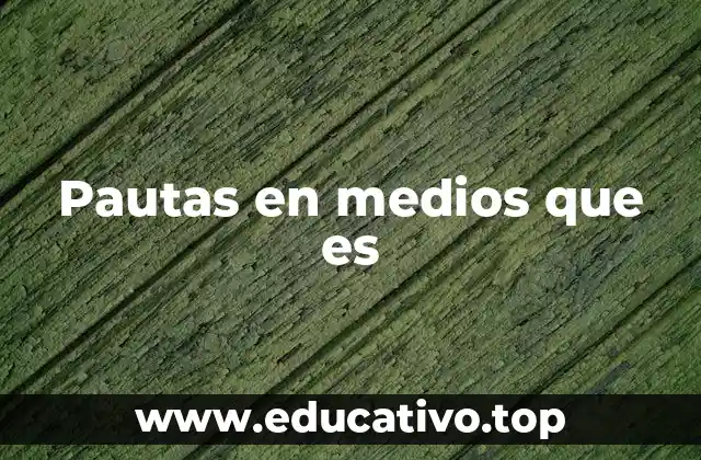 Pautas en medios que es