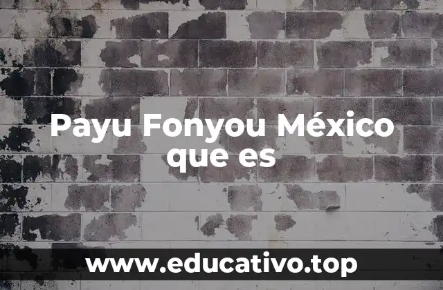Payu Fonyou México que es