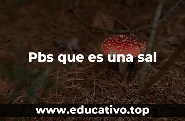 Pbs que es una sal
