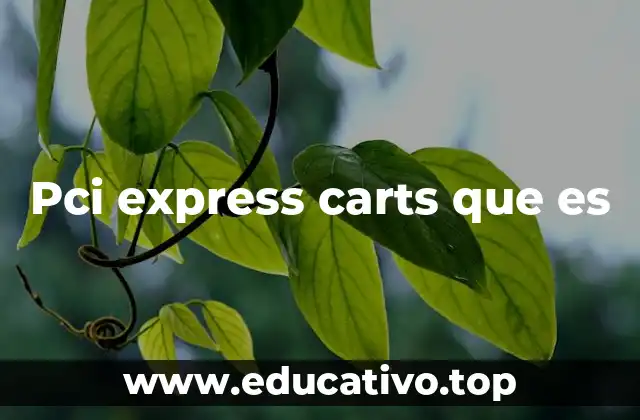 Pci express carts que es