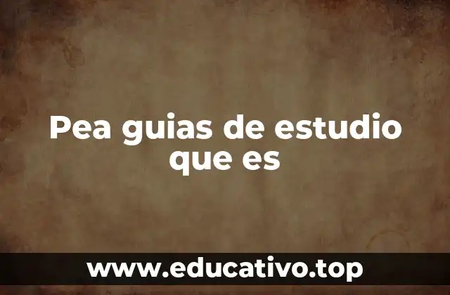 Pea guias de estudio que es