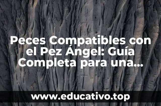 Peces Compatibles con el Pez Ángel: Guía Completa para una Convivencia Armoniosa