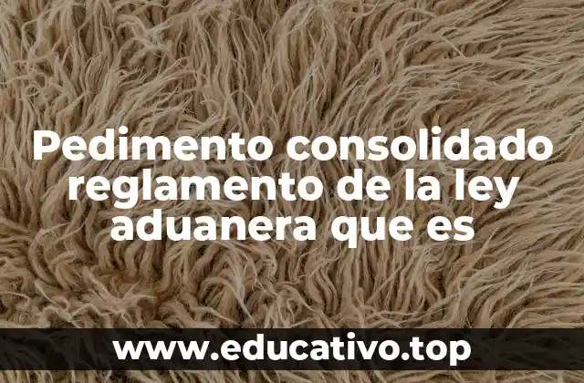 Pedimento consolidado reglamento de la ley aduanera que es