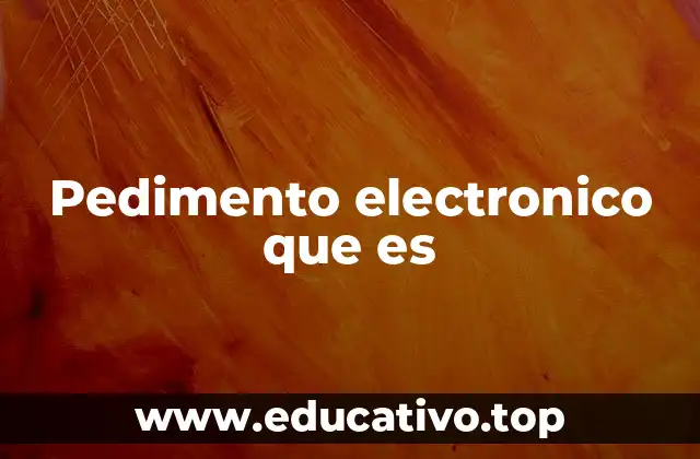 Pedimento electronico que es